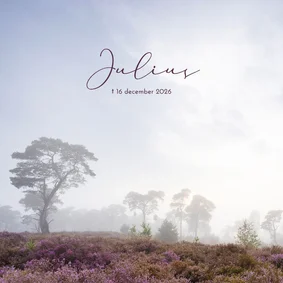 Rouwkaart met heidelandschap