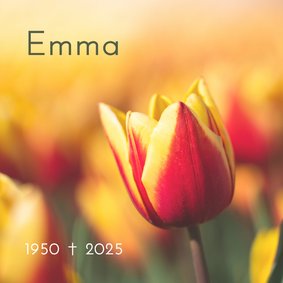 Rouwkaart met rood-gele tulp 