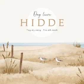 Rouwkaart strand vogels zee duinen unisex