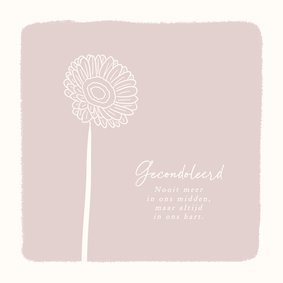 Roze condoleance kaartje met bloem gerbera