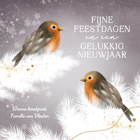 Schattig kerstkaartje roodborstjes in de winter