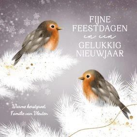 Schattig kerstkaartje roodborstjes in de winter