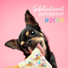 Schattige felicitatiekaart van hond met taart 