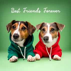 Schattige vriendschapskaart voor beste vriend van 2 hondjes