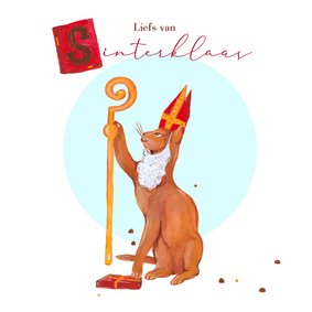 Sinterklaaskaart met poes verkleedt als Sint