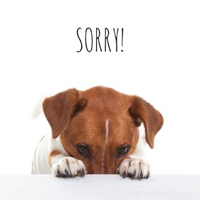 Sorry kaart - Boris de hond - Spijt