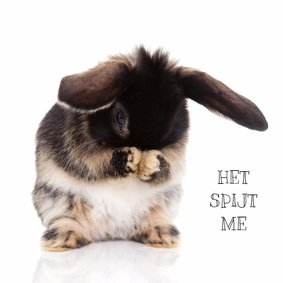 Sorry kaart konijntje