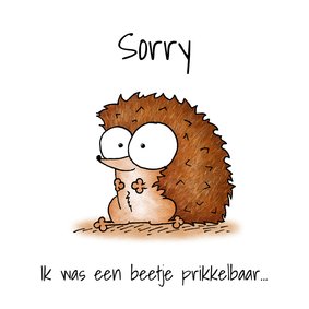 Sorry kaart schattig egeltje - Ik was een beetje prikkelbaar