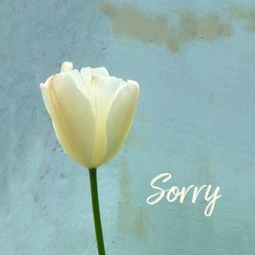 Sorry tulp - vergeving