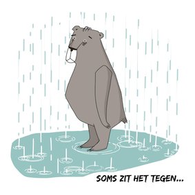 Sterkte - Beer in de regen