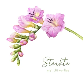 Sterkte condoleance kaart fresia roze bloemen