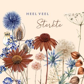 Sterkte droogbloemen en takken