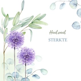 Sterkte Eucalyptus bloemen