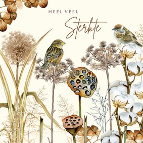 Sterkte herfst vogels