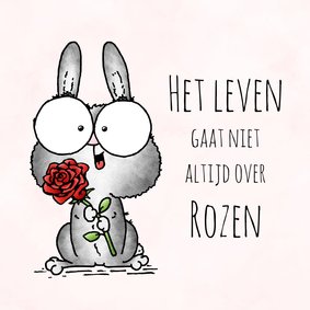 Sterkte kaart konijn - Het leven gaat niet altijd over rozen