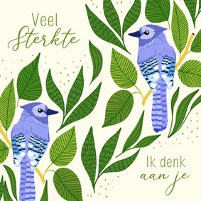 Sterkte kaart met blauwe Gaai vogel en bladeren