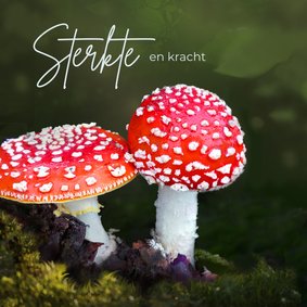 Sterkte kaart paddenstoelen rood wit