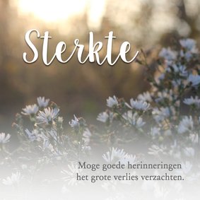 Sterkte met bloemen / condoleance