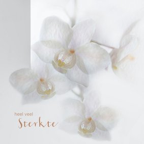 Sterkte met orchideeën