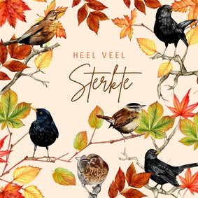 Sterkte vogels herfstblad