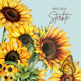 Sterkte zonnebloemen vlinder