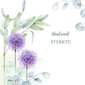 Sterktekaart Eucalyptus bloemen