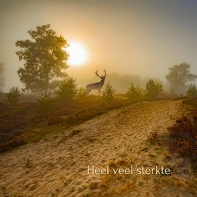 Sterktekaart heidelandschap met hert