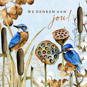 Sterktekaart ijsvogels winter