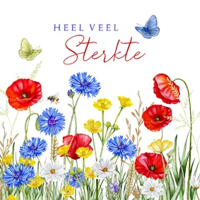 Sterktekaart klaprozen met veldbloemen en vlinders