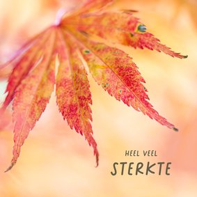 Sterktekaart met herfstblad
