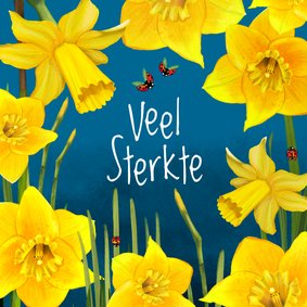 Sterktekaart met narcissen en lieveheersbeestjes