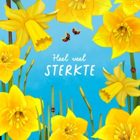 Sterktekaart met narcissen en lieveheersbeestjes