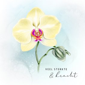 Sterktekaart met Orchidee