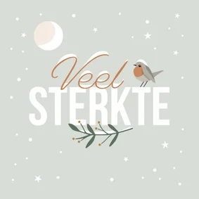 Sterktekaart met roodborstje in wintersfeer