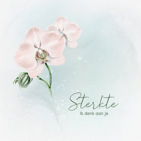Sterktekaart met roze orchidee