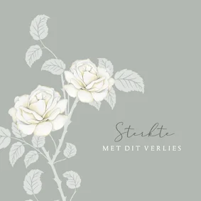 Sterktekaart mooie witte rozen