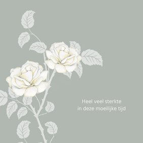 Sterktekaart mooie witte rozen