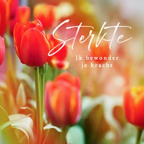 Sterktekaart tulpen bloemen stijlvol ernstig ziek