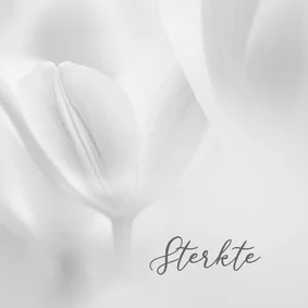Sterktekaart tulpen