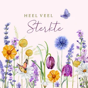Sterktekaart veldbloemen met vlinders