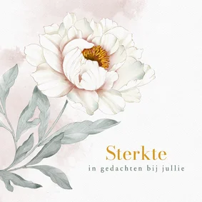 Sterktekaart witte pioenroos