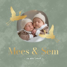 Stijlvol geboortekaartje tweeling met foto groen met vogels