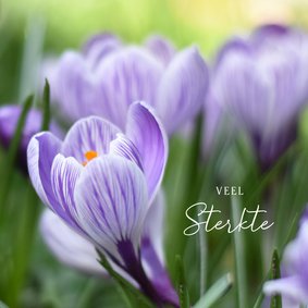 Stijlvolle condoleancekaart lente met foto van krokussen