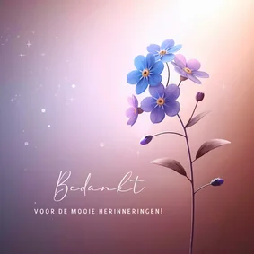 Stijlvolle rouwkaart bedankt voor de mooie herinneringen