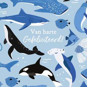 Stoere verjaardagskaart met waterdieren