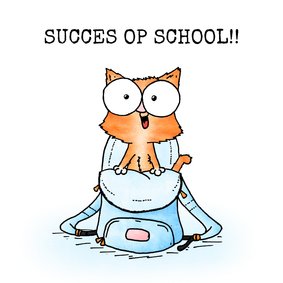 Succes kaart poes in schooltas - Succes op school!