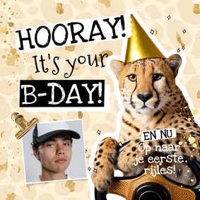 Toffe verjaardagskaart coole cheeta rijlessen goud