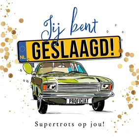 Trendy geslaagd kaart rijbewijs kentekenplaat auto confetti