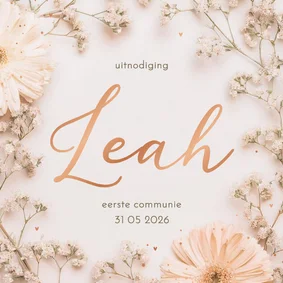 Uitnodiging communie bloemetjes kader en gipskruid