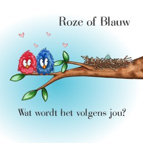 Uitnodiging gender reveal party vogels op tak met ei